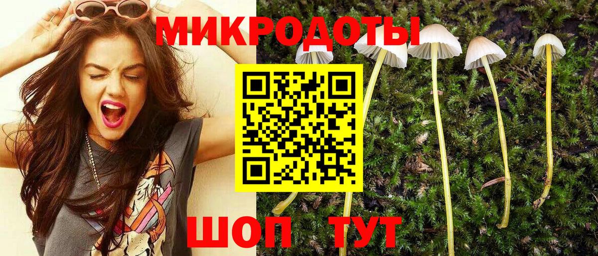 Галлюциногенные грибы GOLDEN TEACHER  Псилоцибиновые грибы Magic Shrooms  Рязань  Вход с VPN 