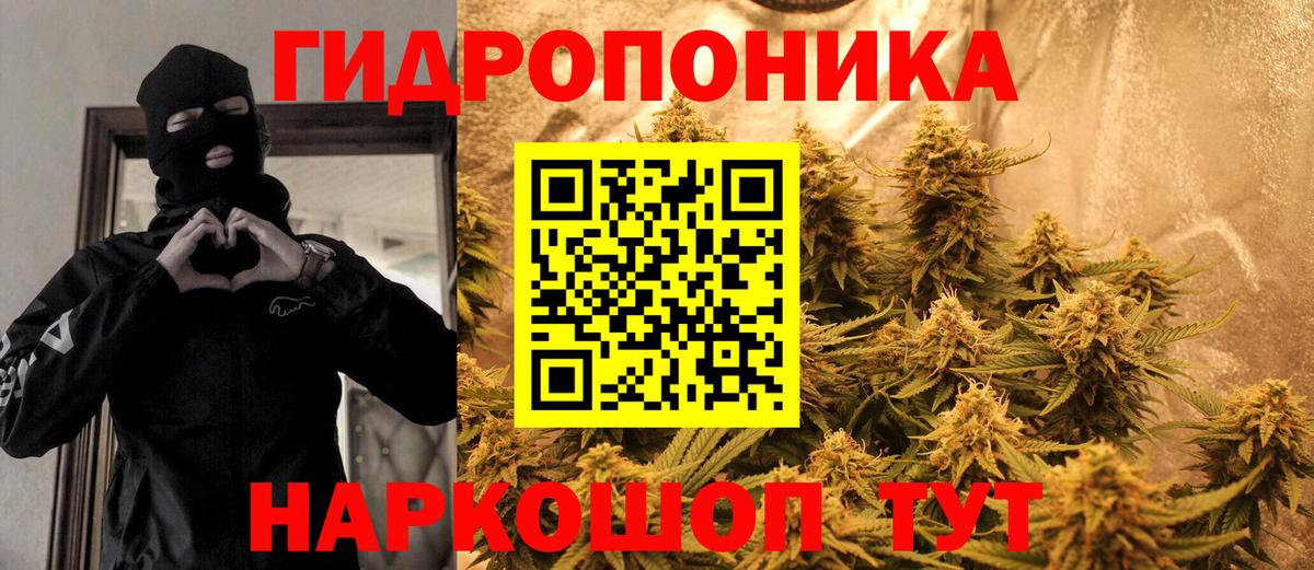 Рязань  Марихуана индика  МАРИХУАНА ГИДРОПОН  Каннабис планчик  Бошки марихуана семена  Вход с VPN 